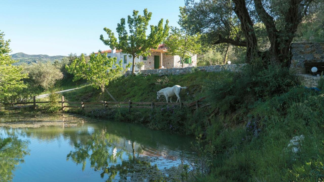 Villa Elia Lambini ภายนอก รูปภาพ